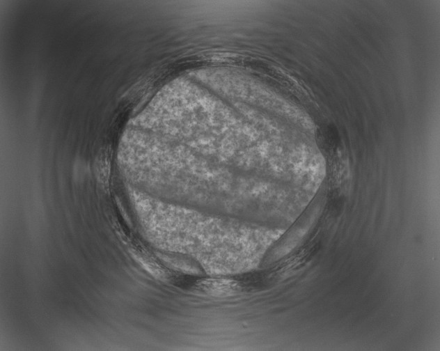 X0000082950427200702222318