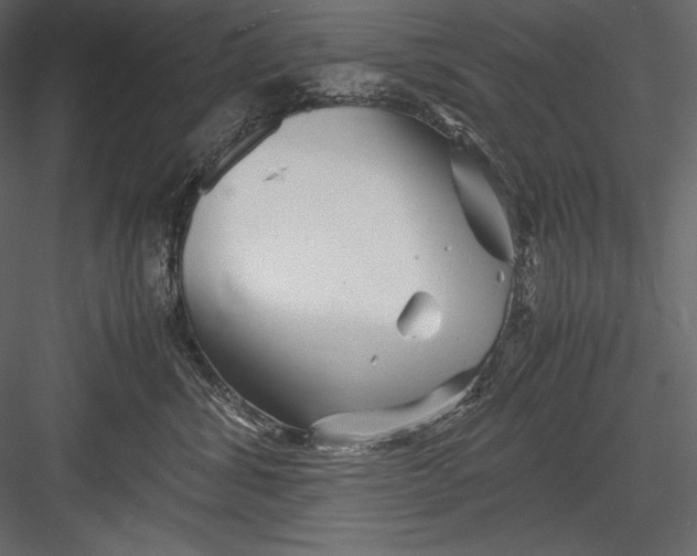 X0000082950428200702222318