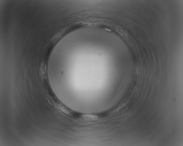 X0000082950429200702222318