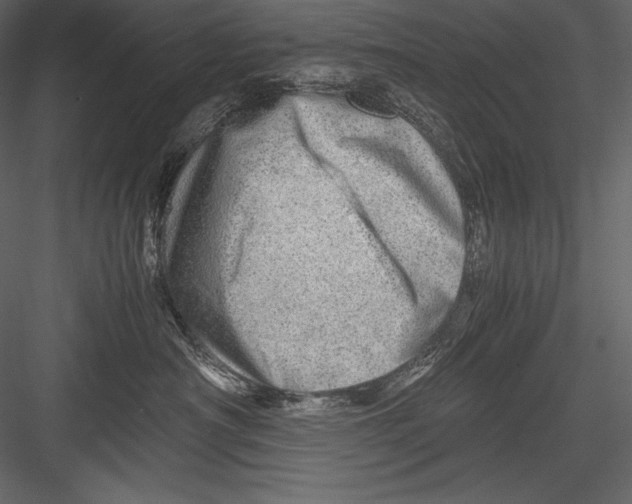 X0000082950430200702222318