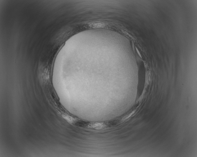 X0000082950431200702222318