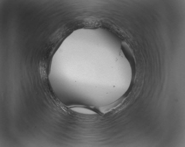 X0000082950432200702222318