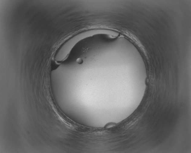 X0000082950433200702222317