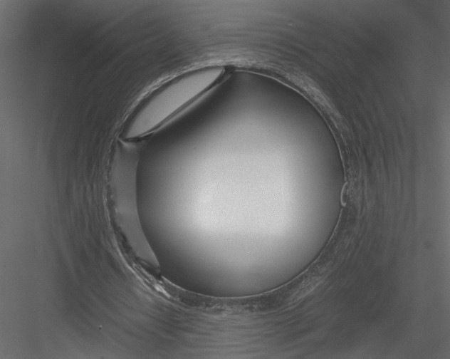 X0000082950434200702222317