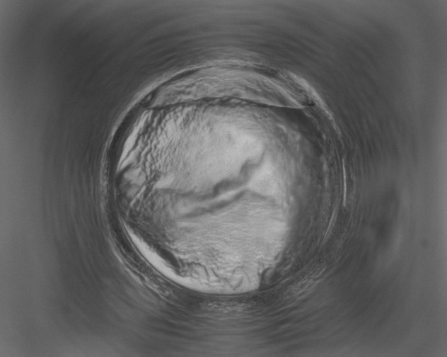 X0000082950435200702222317