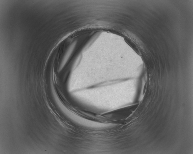 X0000082950436200702222317