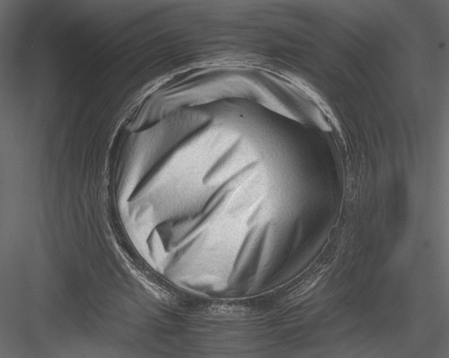 X0000082950437200702222317