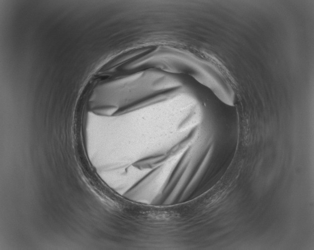 X0000082950439200702222317