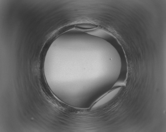 X0000082950440200702222317