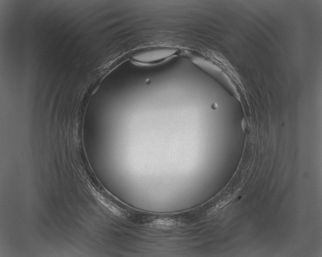 X0000082950441200702222317