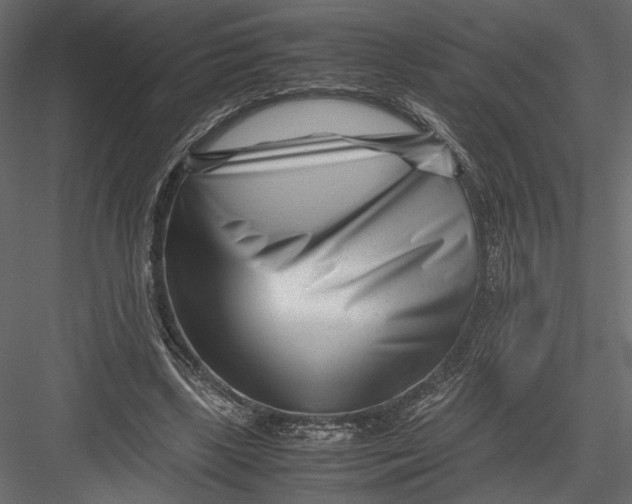 X0000082950443200702222318