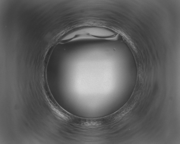 X0000082950445200702222318