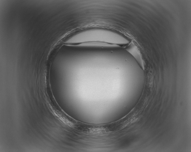 X0000082950446200702222318