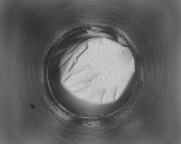 X0000082950447200702222318