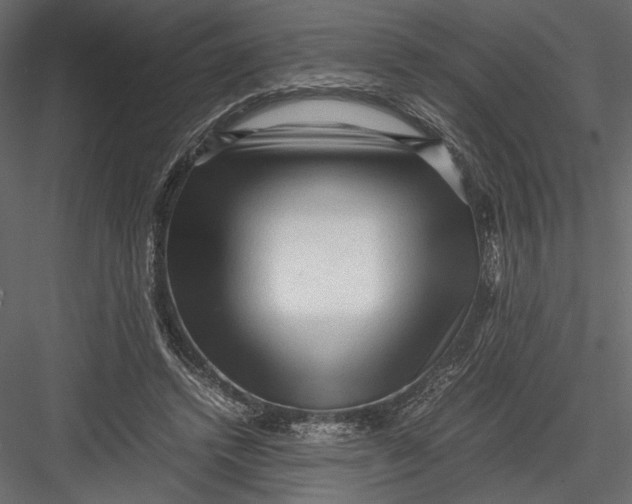 X0000082950448200702222318