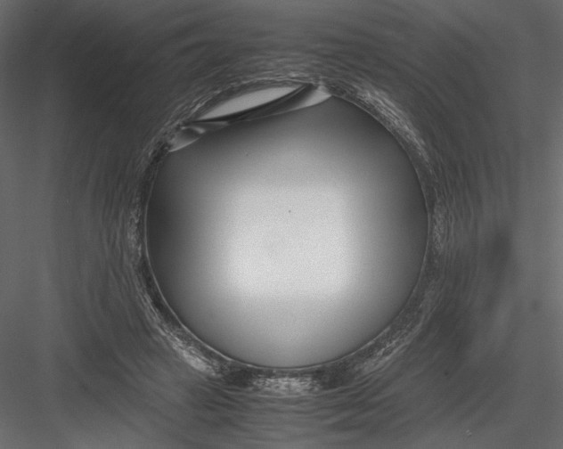 X0000082950449200702222318