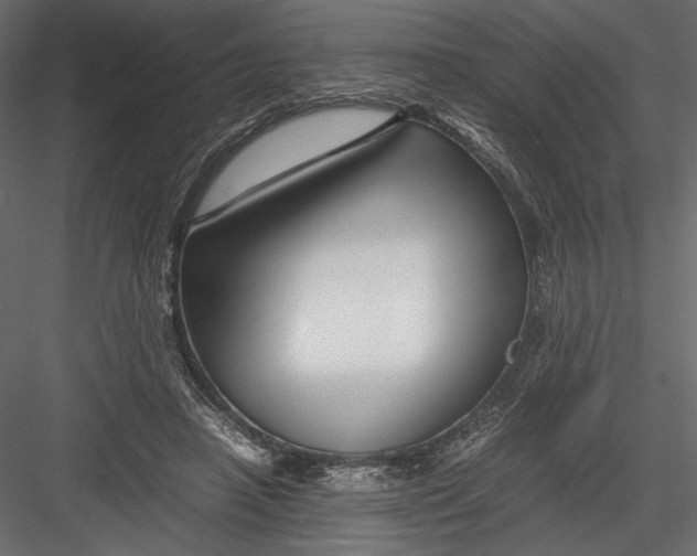 X0000082950450200702222318