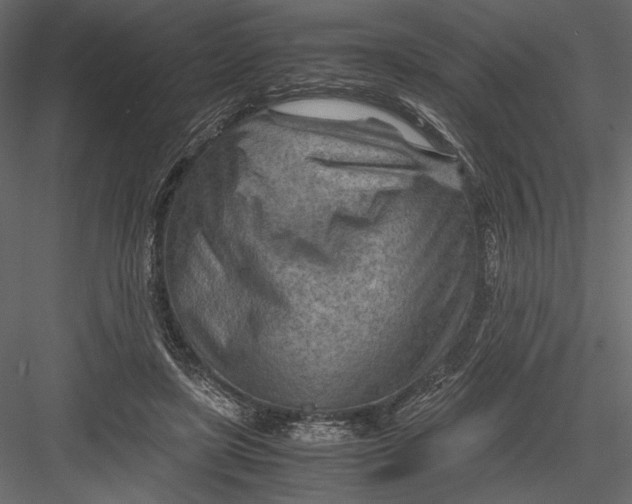 X0000082950451200702222318