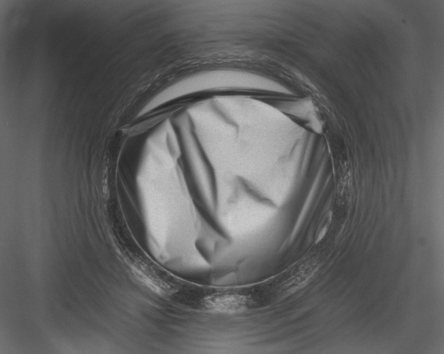 X0000082950452200702222318