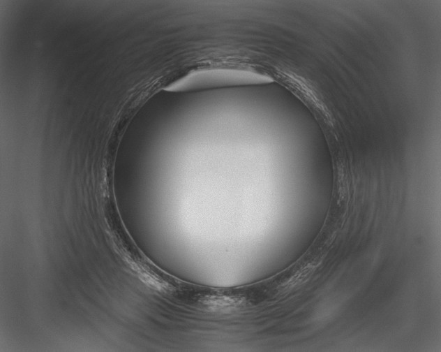 X0000082950453200702222318