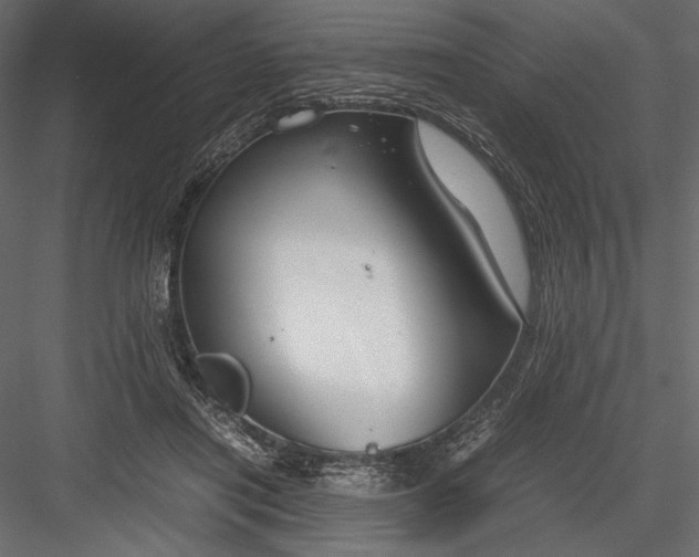 X0000082950454200702222318