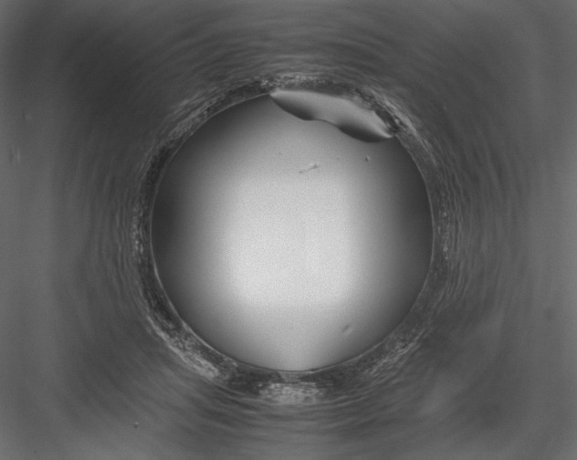 X0000082950455200702222318