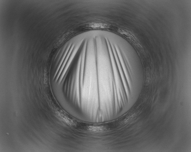 X0000082950457200702222318