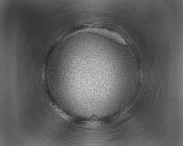 X0000082950458200702222318