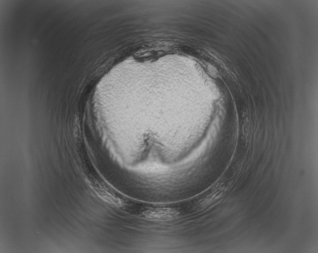 X0000082950459200702222318