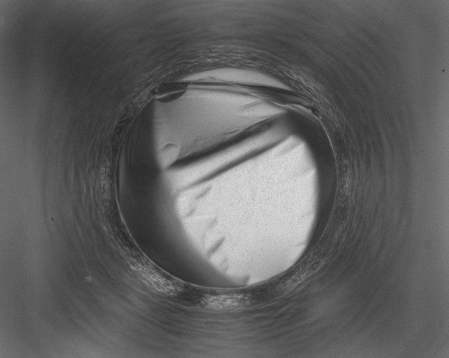 X0000082950461200702222318