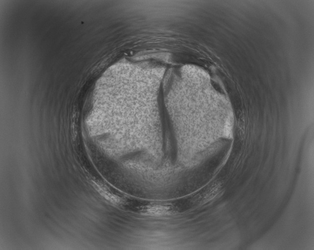 X0000082950462200702222318