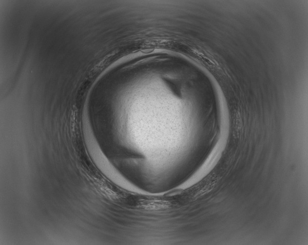 X0000082950463200702222318