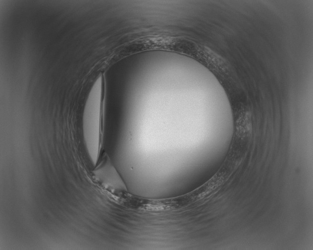 X0000082950464200702222318