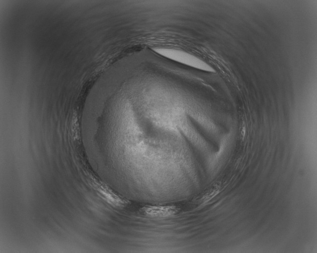 X0000082950465200702222318