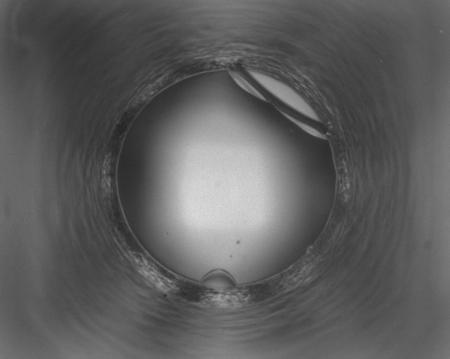 X0000082950466200702222318