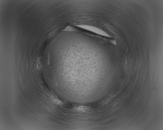 X0000082950467200702222318