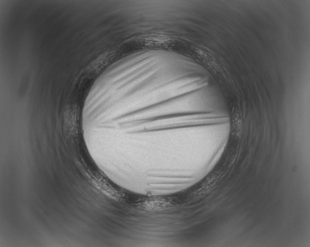 X0000082950468200702222318