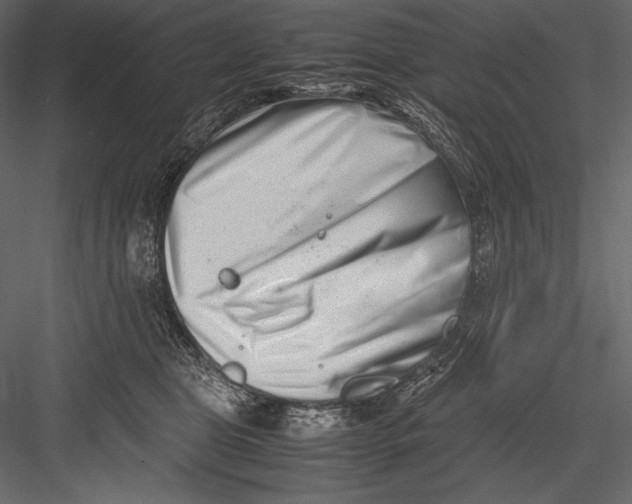 X0000082950469200702222318