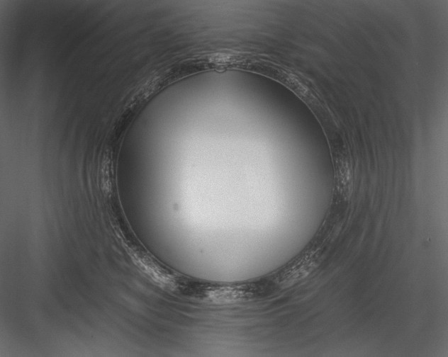 X0000082950470200702222318