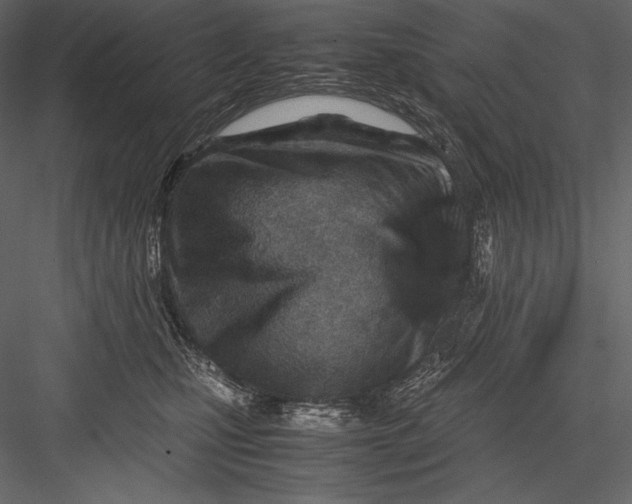 X0000082950471200702222318