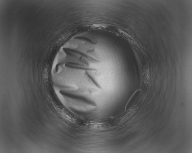 X0000082950472200702222318