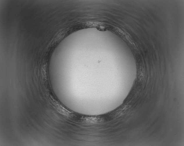 X0000082950473200702222318