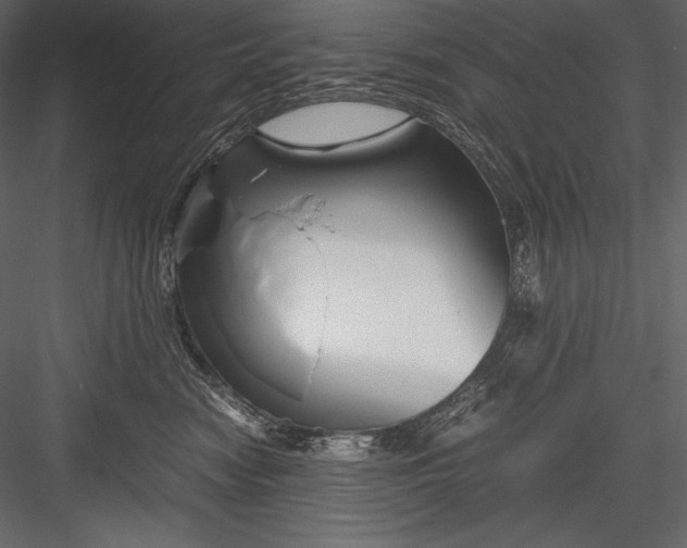 X0000082950474200702222318