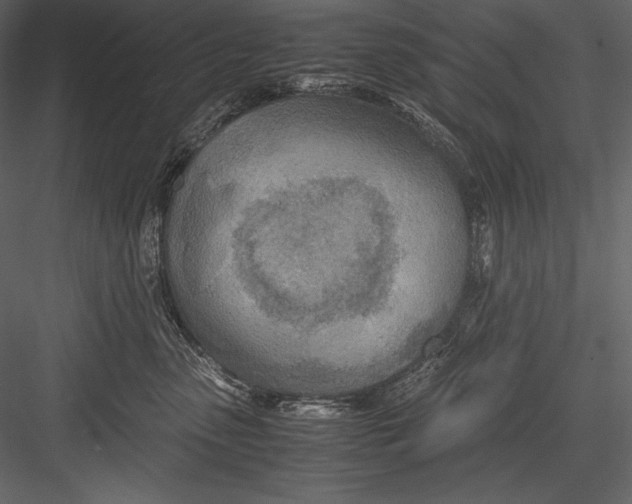 X0000082950475200702222318