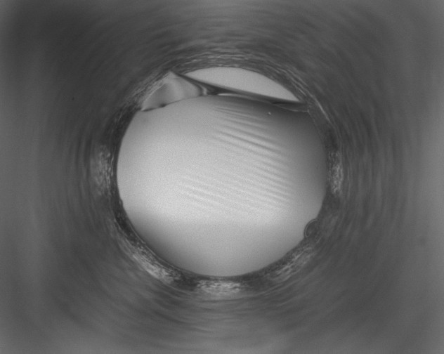 X0000082950476200702222318