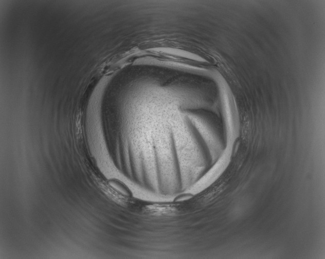 X0000082950477200702222318