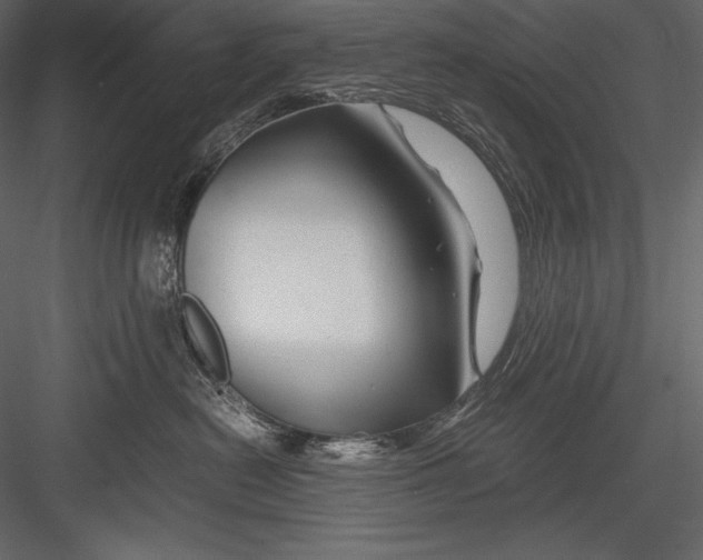 X0000082950478200702222318