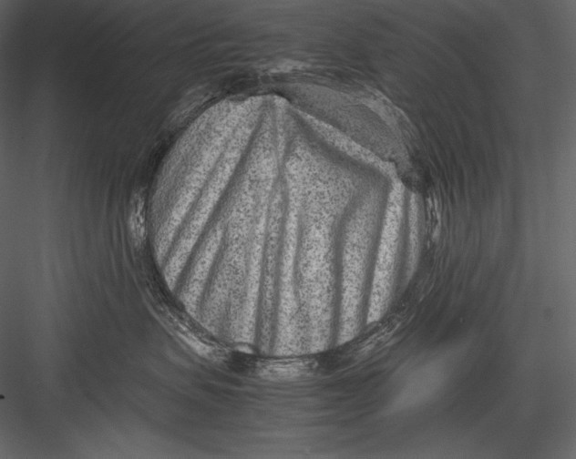 X0000082950479200702222318