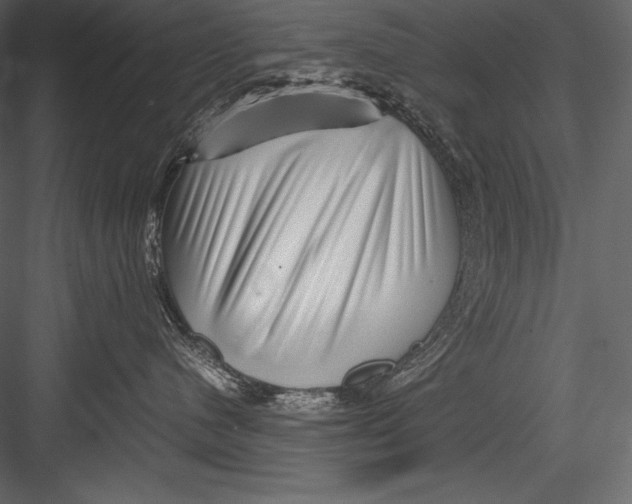 X0000082950480200702222318