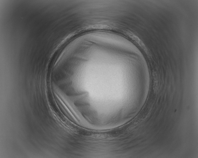 X0000082950482200702222317